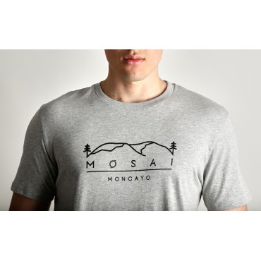 Moncayo