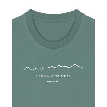 PIRINEO ARAGONÉS Orleji