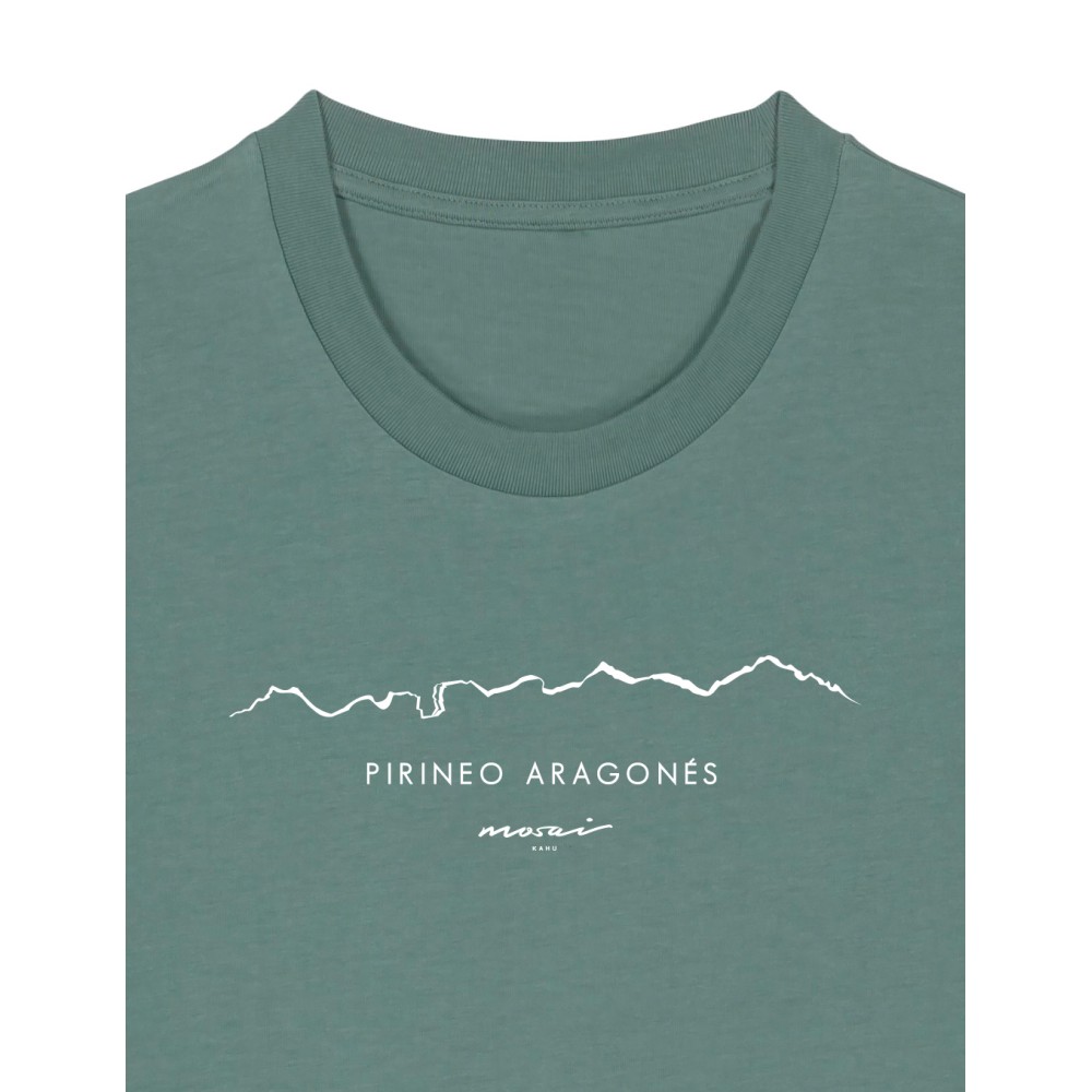 PIRINEO ARAGONÉS Orleji
